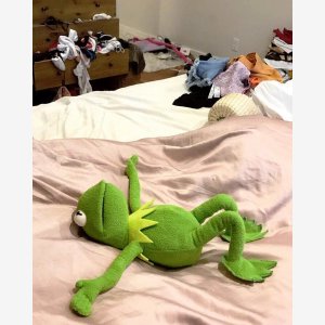 Kermit On A Bed Full   Kermit The Frog, The Muppets, Sesame Street   Grenouille